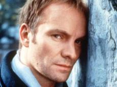 Sting