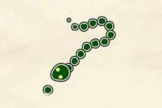 Advansnake